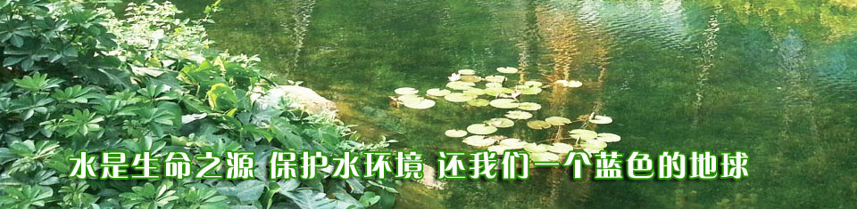 鑫龙水环境治理有限公司